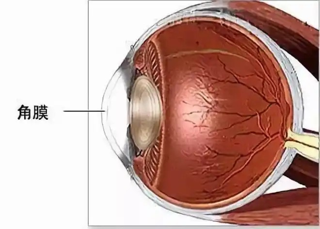 角膜疾病和普通眼病有什么区别吗？
