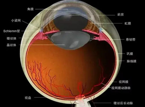 角膜变性与营养不良都有什么症状？治疗方式？